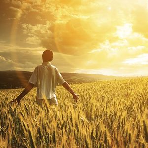 Нежность с десяток солнц