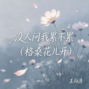 没人问我累不累（格桑花儿开）