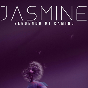 Seguendo Mi Camino (Cut Mix)