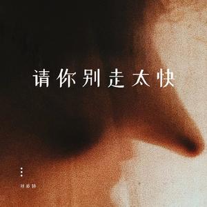 请你别走太快 (节奏卡点版)
