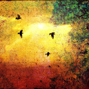 In the Flight Pattern