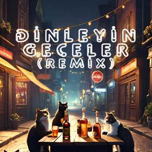 Dinleyin Geceler (Remix)