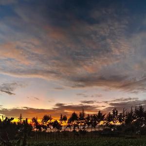 MOLA MWENYEZI (feat. PETER WIZ 254) (Radio Edit)