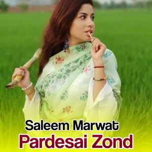 Pardesai Zond