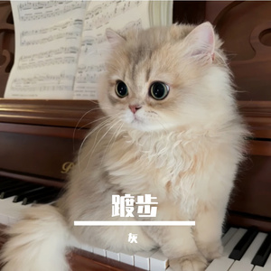 望断行云无觅处