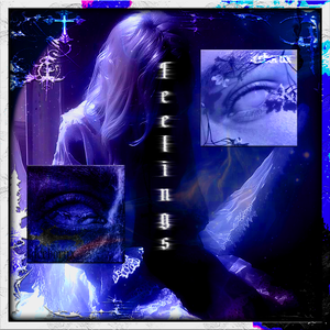 Feelings