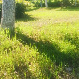 葫芦娃 钢琴版 纯音乐