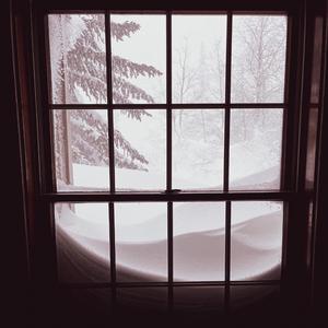 Snowed In