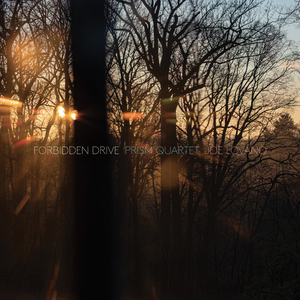 Forbidden Drive (feat. Joe Lovano)