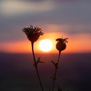 Soul (feat. Molly Roberts & Patrick James)