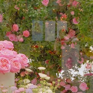 EB369A5F232DB020F2C605072D1E5DF716612465639781