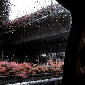 我知道我们都没有错