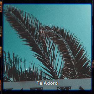 Te Adoro