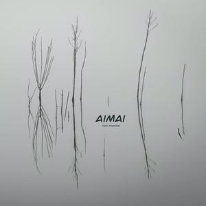 Aimai