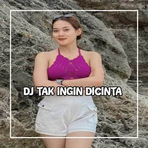 DJ Karena Hatiku Tak Akan Ku Beri Pada Kekasih Yang Tak Baik Hati - Tak Ingin Dicintai