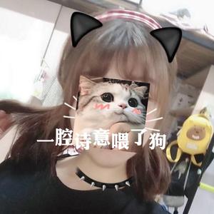 一腔诗意喂了狗