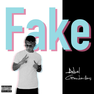 Fake