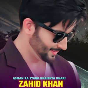 Sta Pa Meena Ke Badnam Sham Parwa Neshta