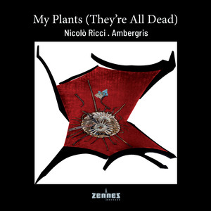 My Plants (They're All Dead)