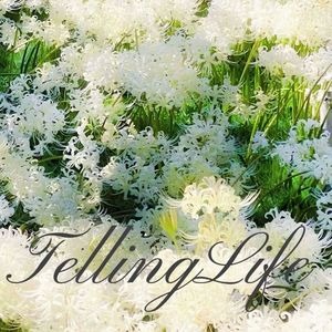 TellingLife(prod.Emotioncat)