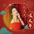 红红火火过大年 (DJ大金版)