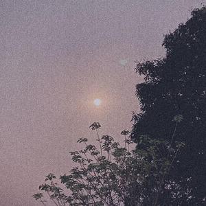 Dance Under The Moonlight