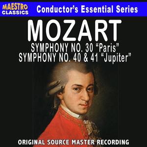 Symphony No. 40 in G Minor, KV. 550: I. Molto allegro