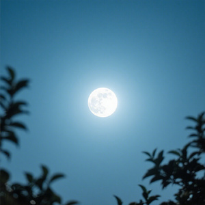 轻鼓与旧梦
