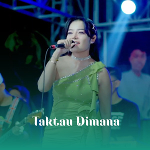 Taktau Dimana