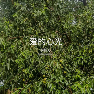 想你在风起的晚上