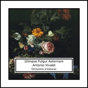 Concerto in G Minor, Op. 8 No. 8: II. Largo