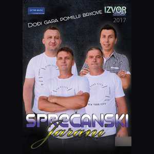 Naj ljepse mi prodjose godine