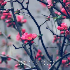 Spring Dreams