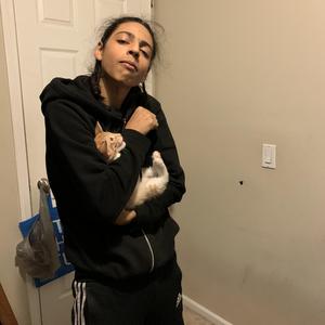 Actin Bad(Freestyle)