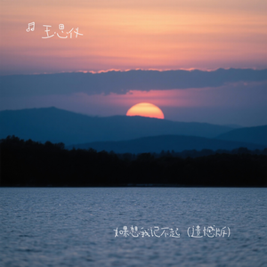 如果想我记不起