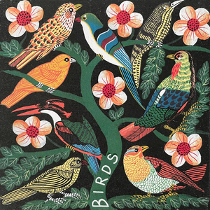 Toucan