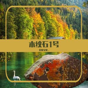 你是我唯一的执着