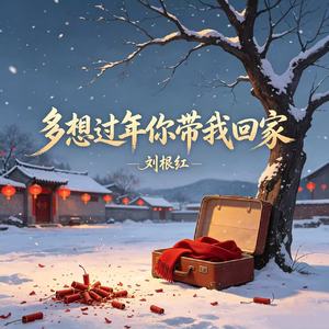 多想过年你带我回家