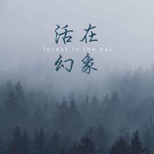 活在幻象
