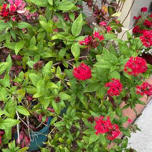 i wrote this at 2 am and now im crying