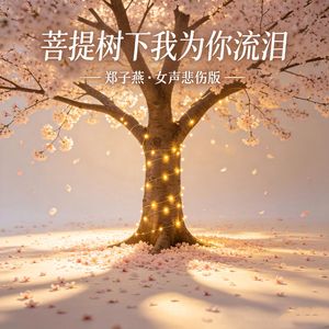 菩提树下我为你流泪（女声悲伤版）