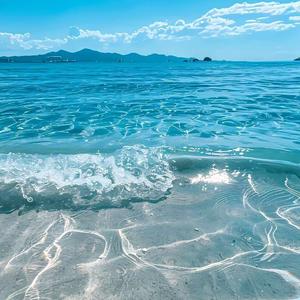 二十一岁的奔赴