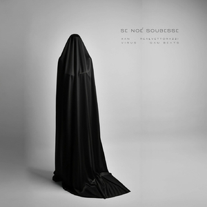 Se Noé Soubesse (feat. Vírus & RealVettorazzi)