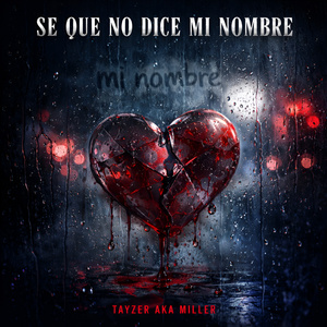 SE QUE NO DIXE MI NOMBRE (2025 Versión remasterizada)