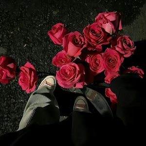 Pati Qatma (Cc culub)