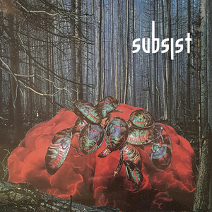 My Mantra (Original Mix)