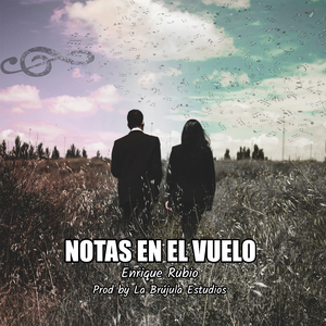 Notas en el Vuelo