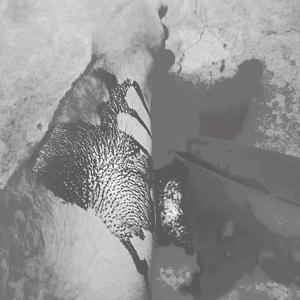 AR3 YXV SABATXG1NG YXVR D3ATH