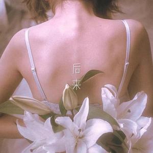 后来（二胡版）