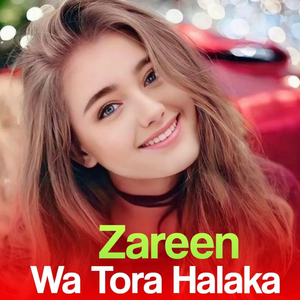 Sta Didan Zama Arman Da